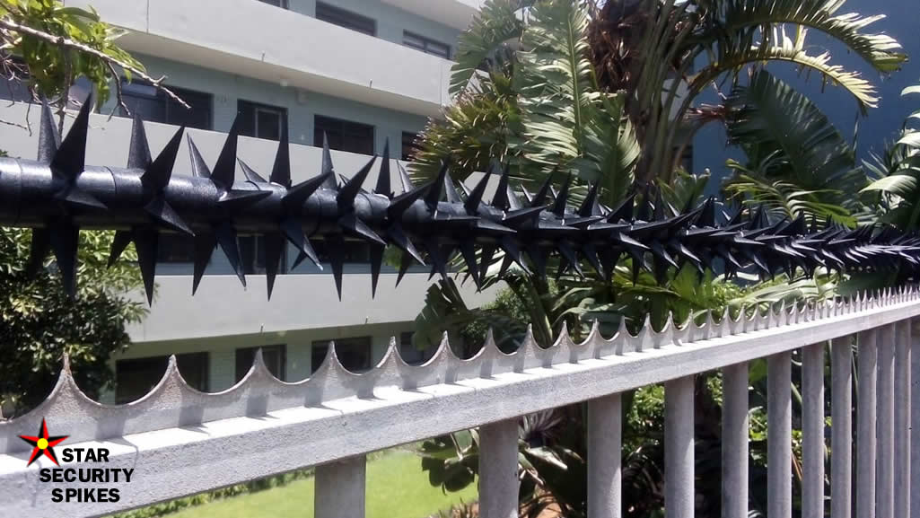 Star Rotating Security Spikes installed in West beach
