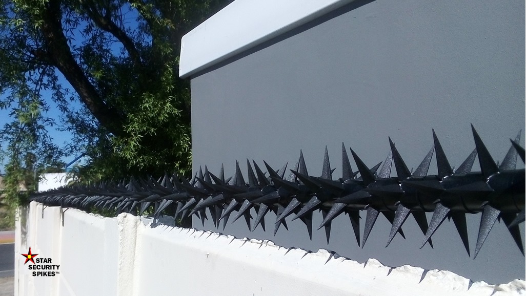 Star Security Wall Concrete Spikes Single Row Black Blouberg Rd