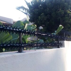 Double Row wall spikes